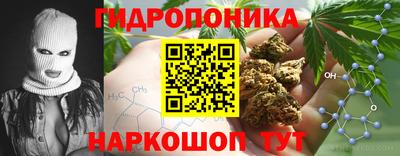 a pvp Краснокаменск