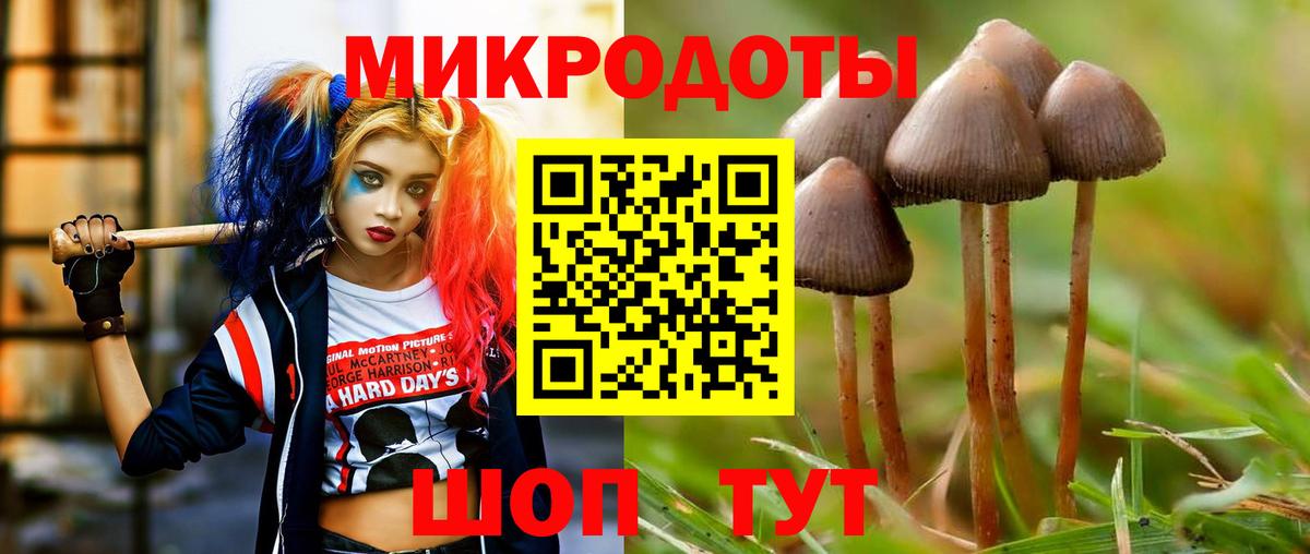 Галлюциногенные грибы Magic Shrooms Кумертау