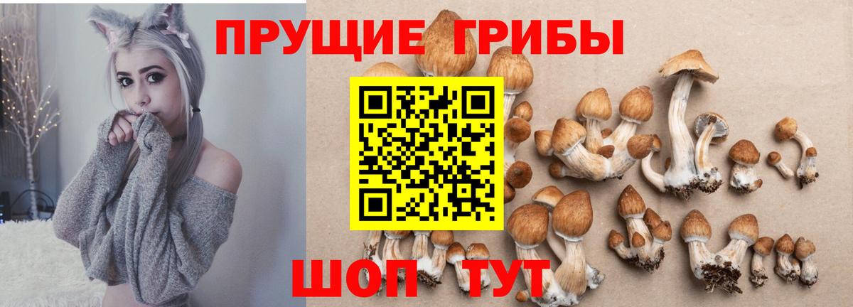 Кумертау  как найти закладки  Вход с VPN  Псилоцибиновые грибы MAGIC MUSHROOMS 